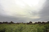 a photo