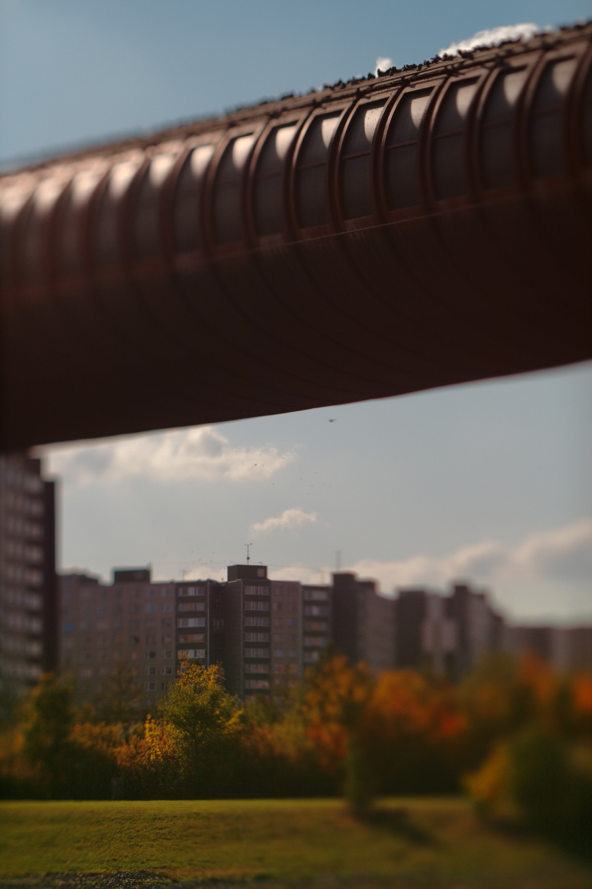 a photo