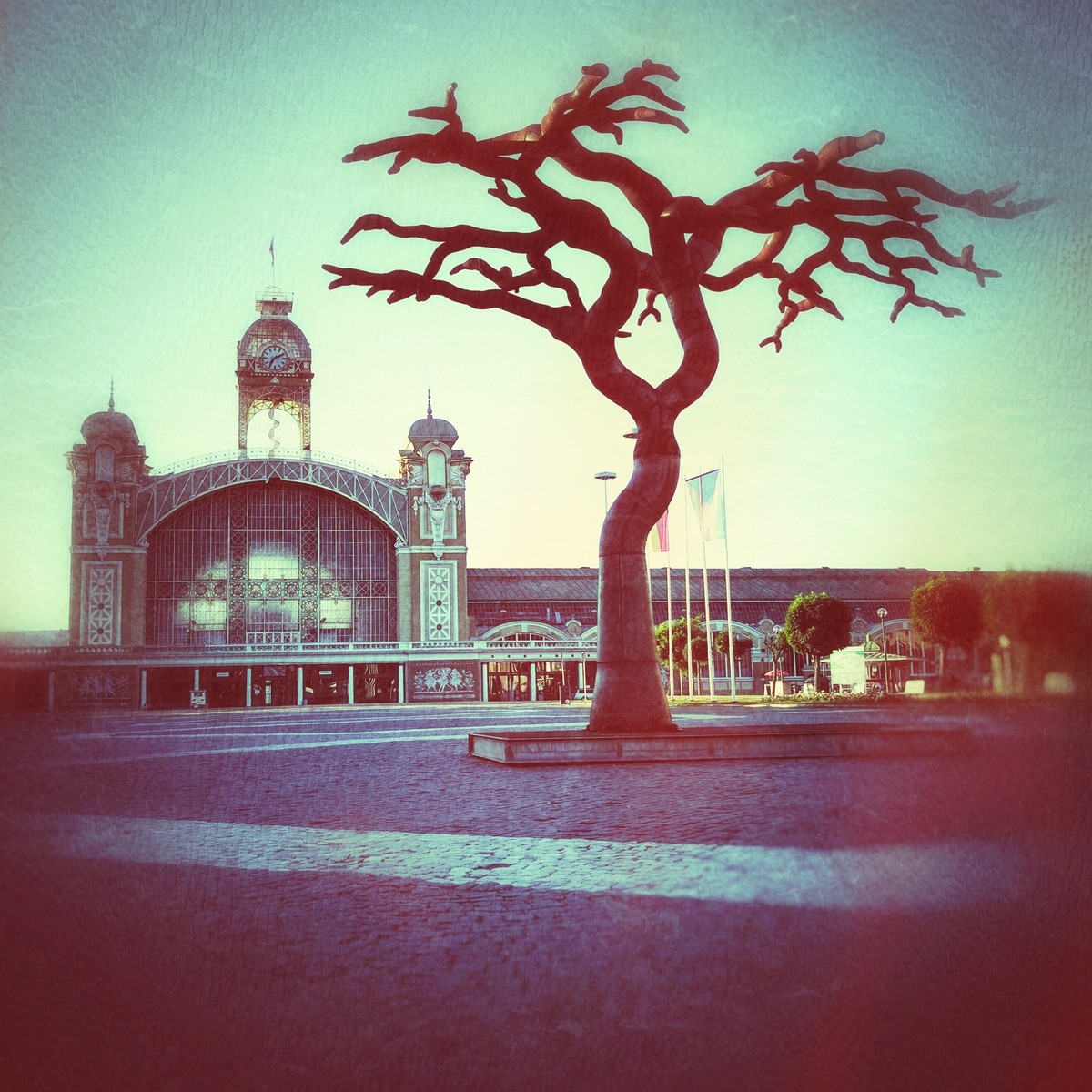 a photo
