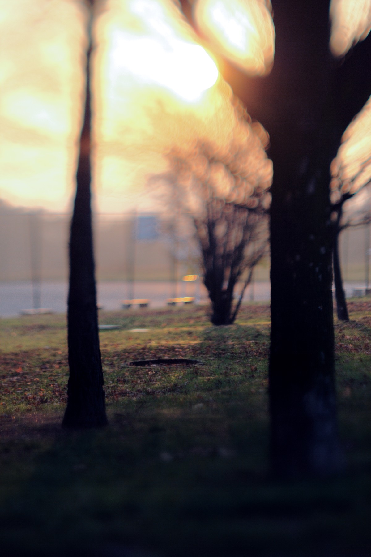 a photo