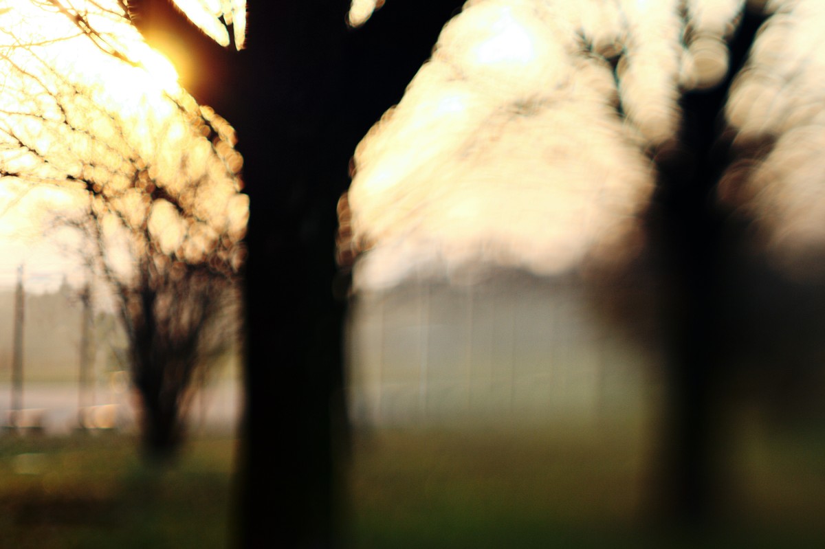 a photo