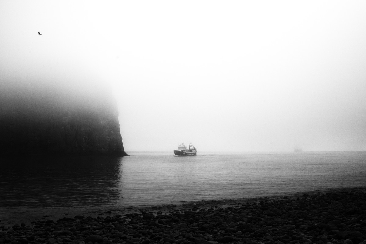 a photo
